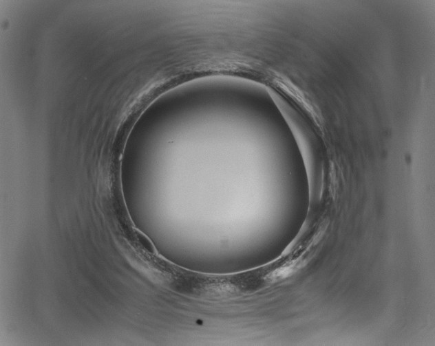 X0000066000203200603031229