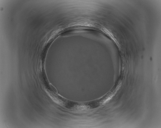 X0000066000205200603031229