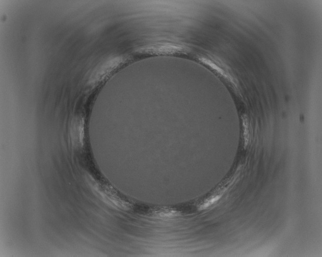 X0000066000206200603031229