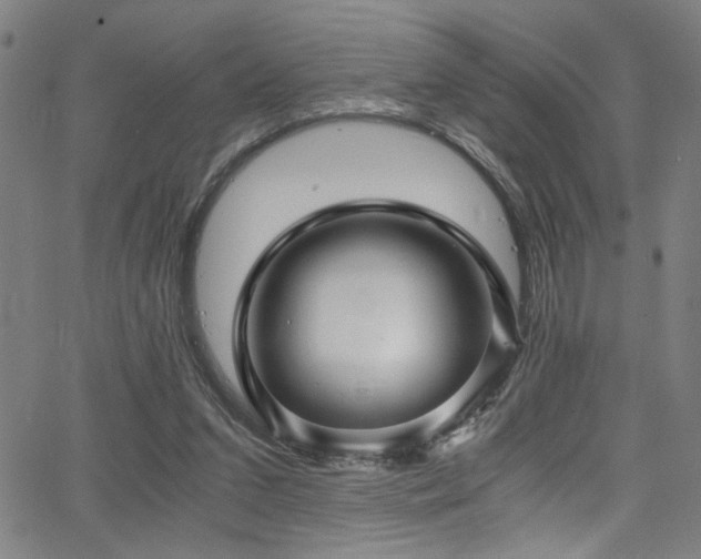 X0000066000207200603031229