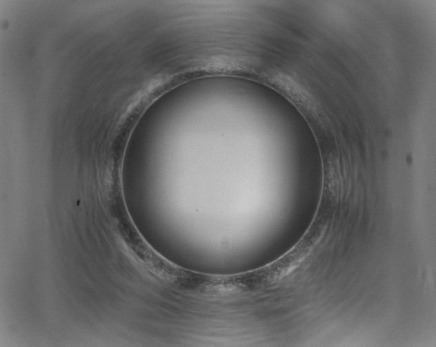 X0000066000208200603031229