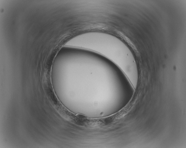 X0000066000209200603031229