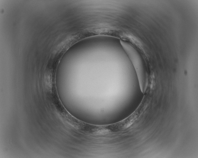 X0000066000210200603031229