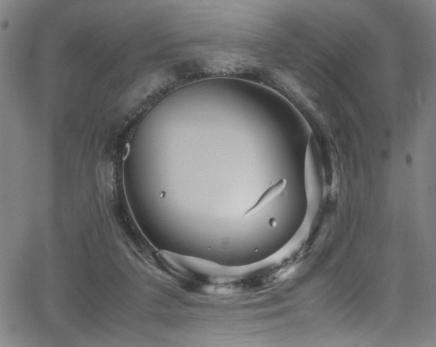 X0000066000211200603031229