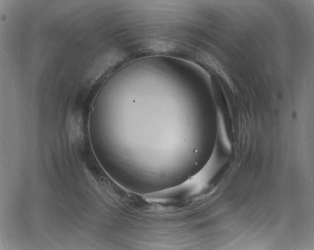 X0000066000212200603031229