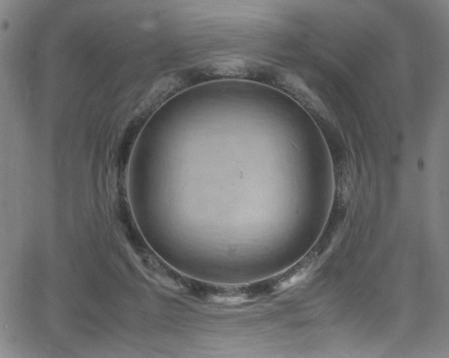 X0000066000213200603031229