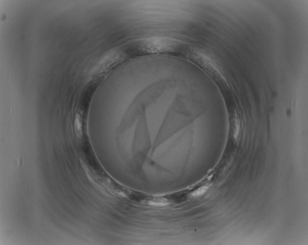 X0000066000214200603031229