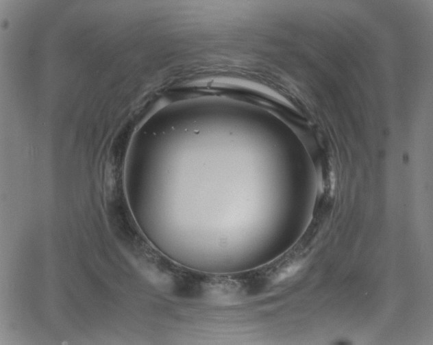 X0000066000215200603031229