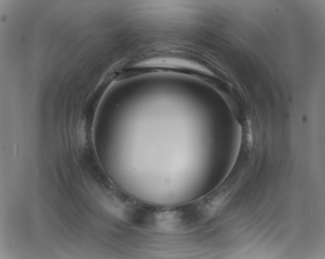 X0000066000216200603031229