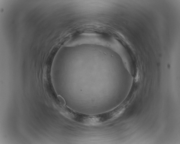 X0000066000217200603031229