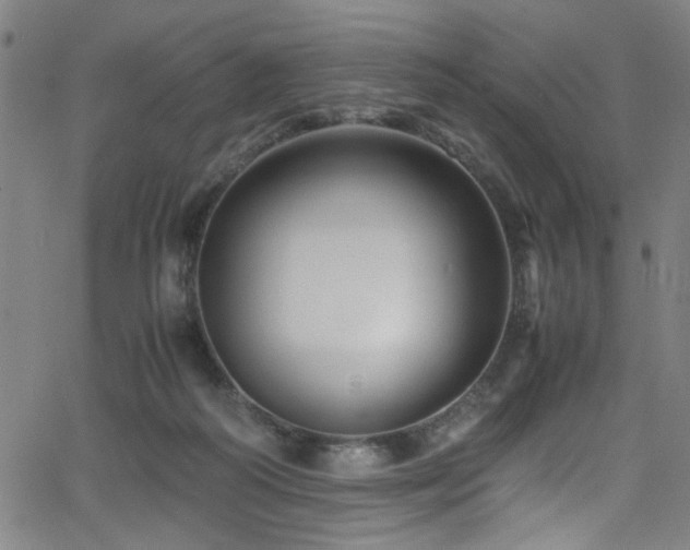 X0000066000218200603031229