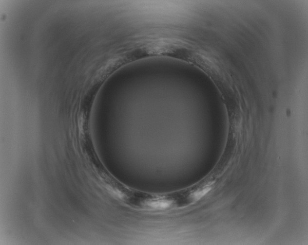 X0000066000219200603031229