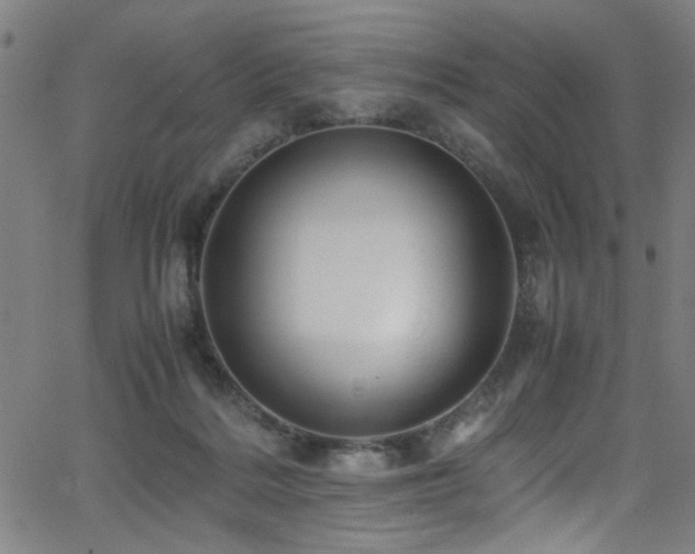 X0000066000220200603031229