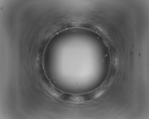 X0000066000221200603031229