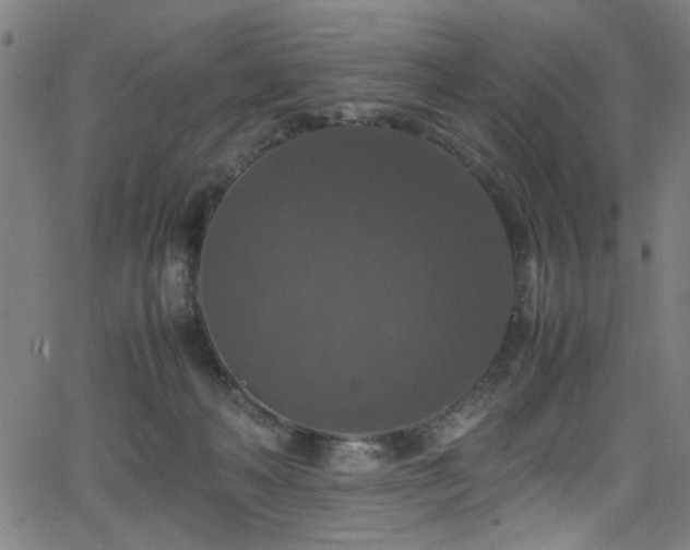 X0000066000222200603031229