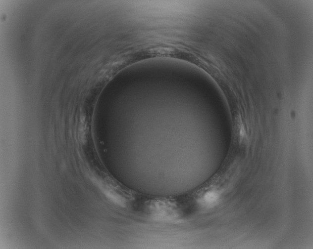 X0000066000223200603031229