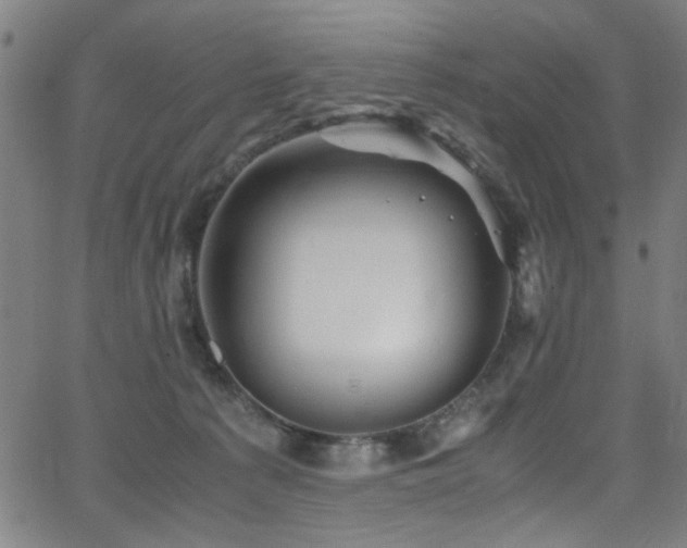 X0000066000225200603031229