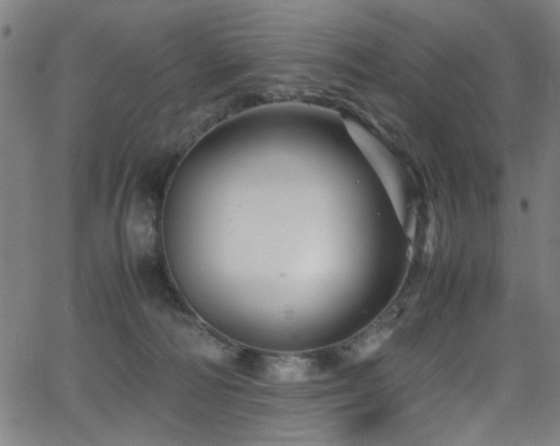 X0000066000226200603031229