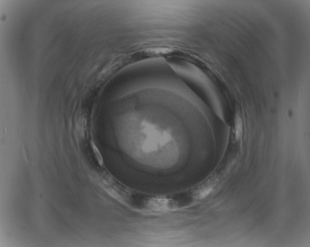 X0000066000227200603031229