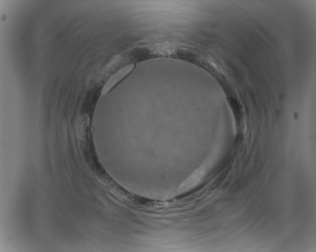 X0000066000229200603031228