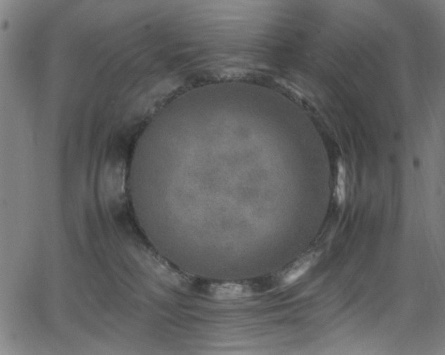 X0000066000230200603031228