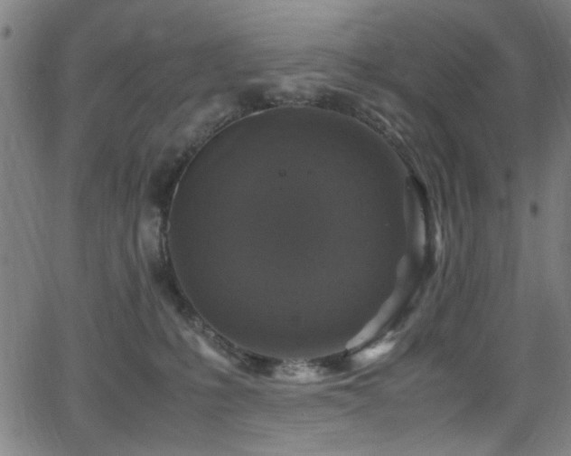 X0000066000231200603031228