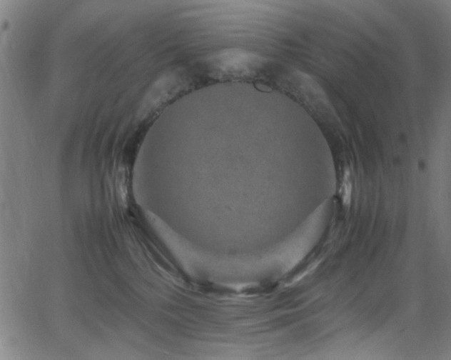 X0000066000232200603031228