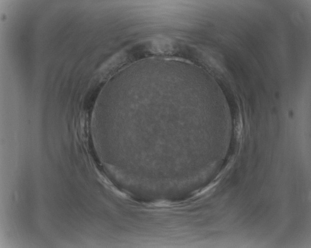 X0000066000233200603031228