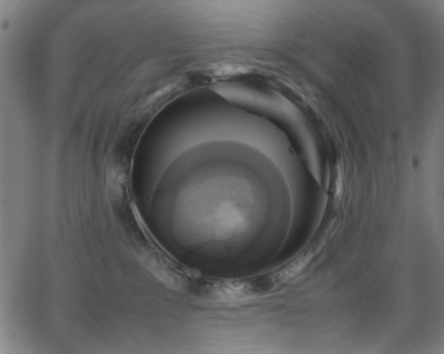 X0000066000235200603031228