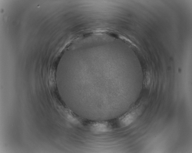 X0000066000236200603031228