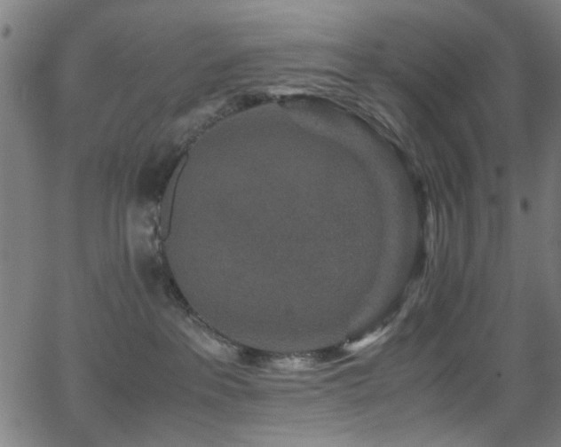 X0000066000237200603031228