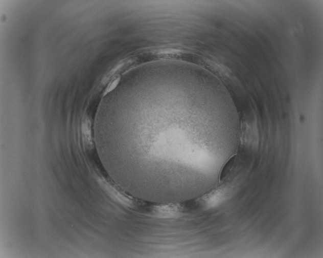 X0000066000238200603031228