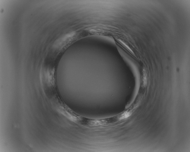 X0000066000239200603031228