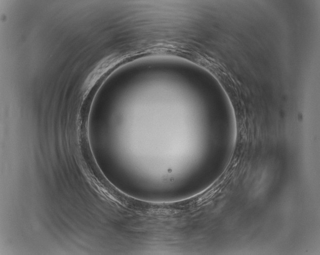 X0000066000242200603031228