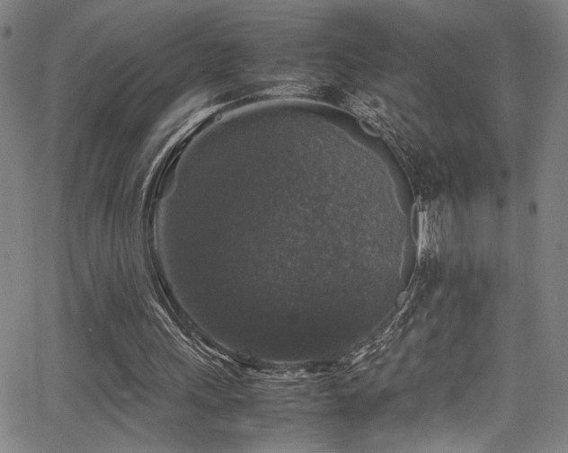 X0000066000243200603031228