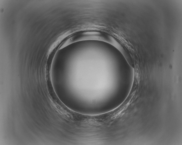 X0000066000244200603031228