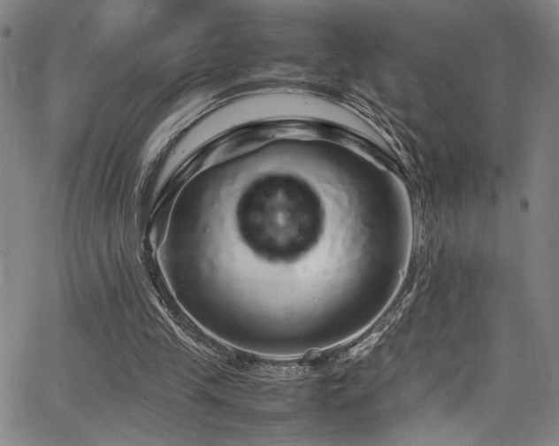 X0000066000245200603031228