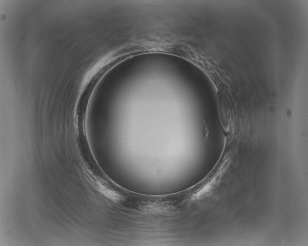 X0000066000246200603031228