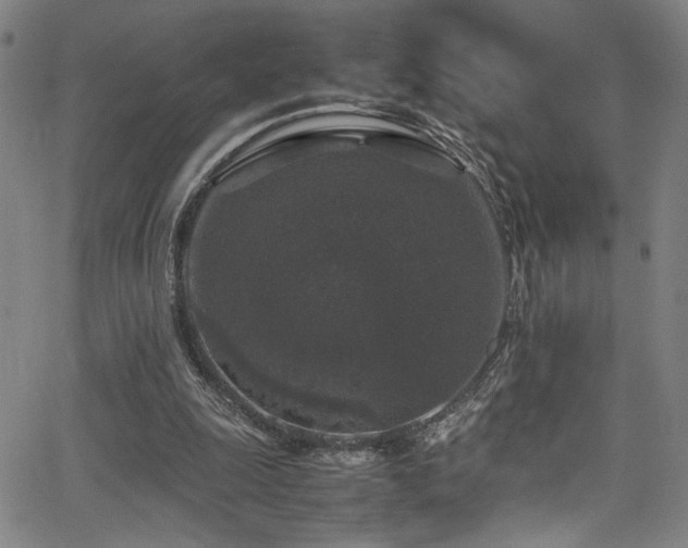 X0000066000247200603031228