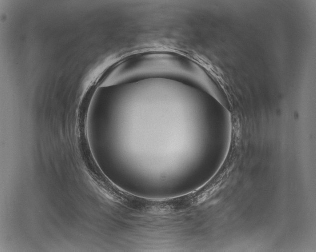 X0000066000248200603031228