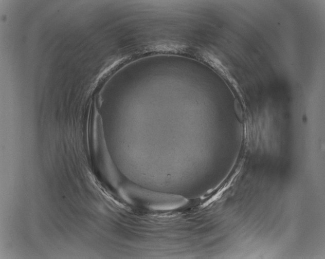 X0000066000249200603031228