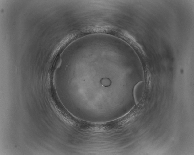 X0000066000250200603031228