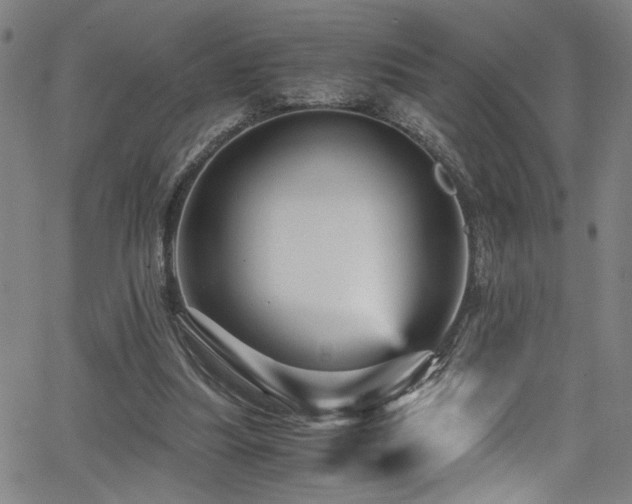 X0000066000251200603031228