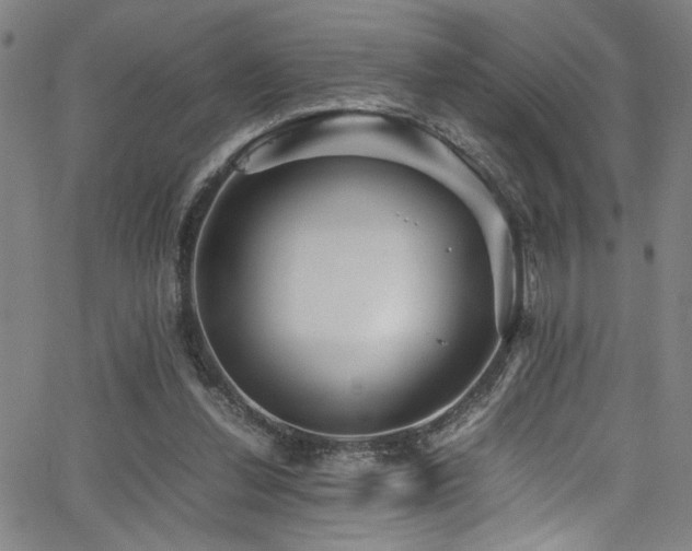 X0000066000252200603031228