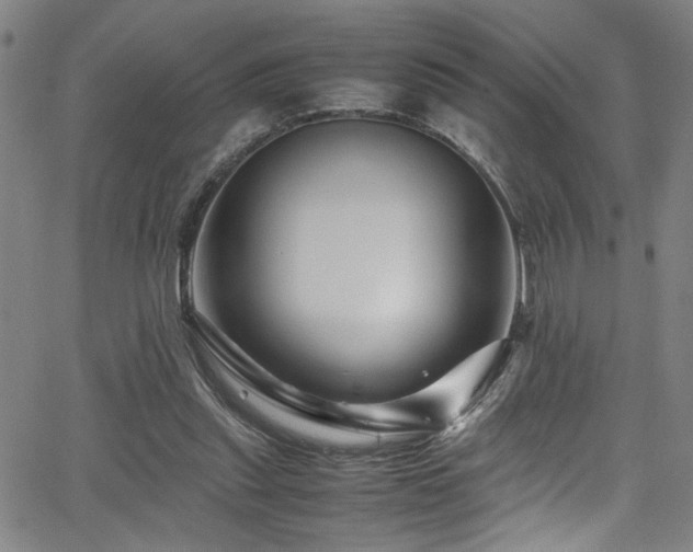 X0000066000253200603031228