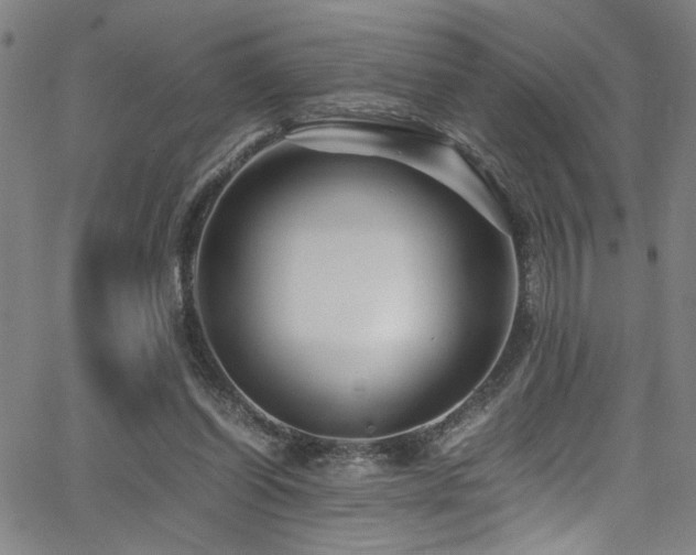 X0000066000254200603031228