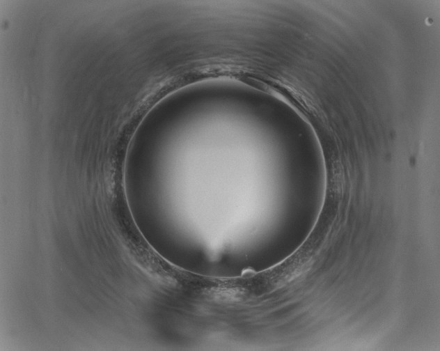 X0000066000255200603031228