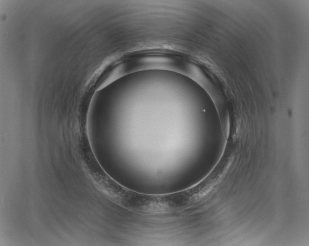 X0000066000256200603031228