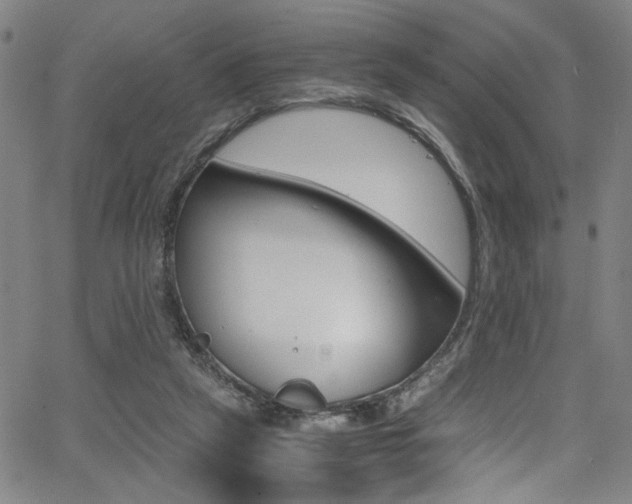 X0000066000257200603031228