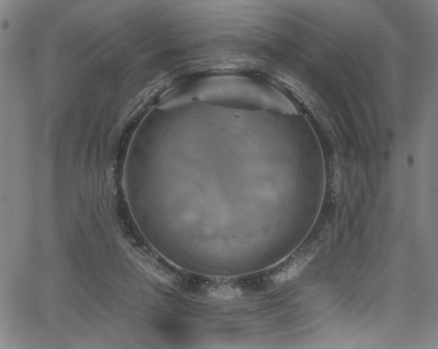 X0000066000258200603031228